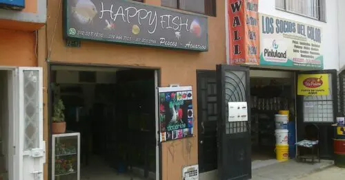 HAPPY FISH HAPPY FISH